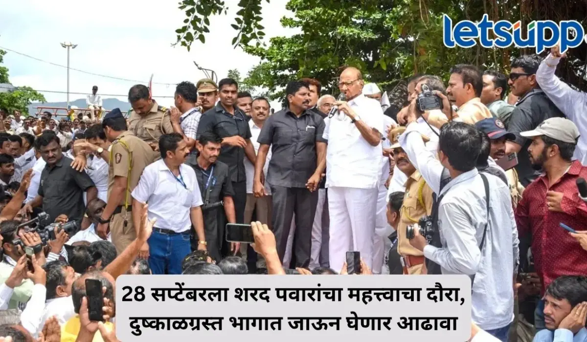 28 सप्टेंबरला शरद पवार दुष्काळी भागांच्या दौऱ्यावर, शेतकऱ्यांच्या बांधावर जाऊन घेणार परिस्थितीचा आढावा