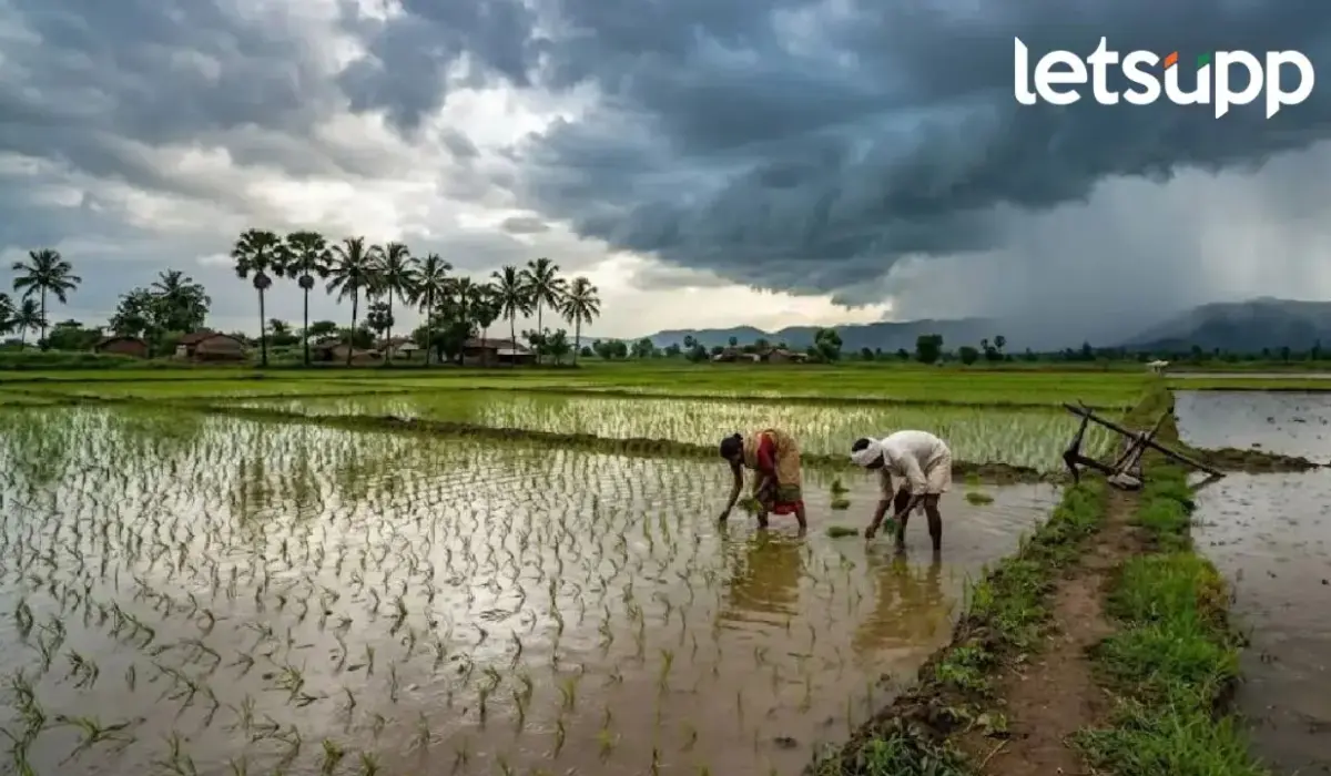 बंगालच्या उपसागरातील कमी दाबामुळं पावसाची शक्यता; घाटमाथ्यासह अनेक जिल्ह्यांना येलो अलर्ट