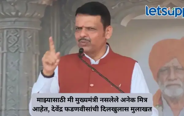 माझी चाल कासवाची नाही, पण प्रेरणा कासव, टीकाकारांवर मुख्यमंत्री देवेंद्र फडणवीसांची खास शैलीत टोलेबाजी